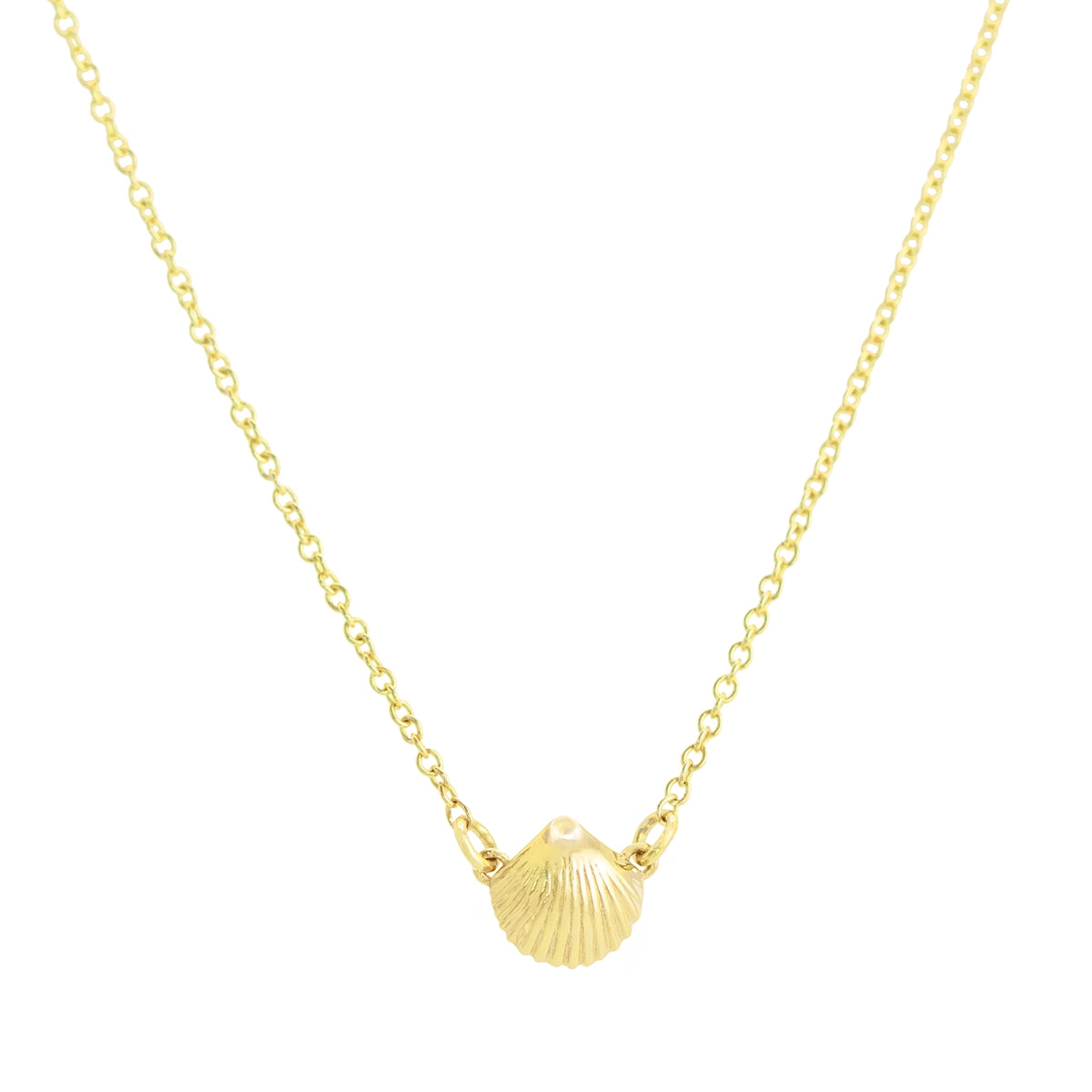 Mini 2025 seashell necklace