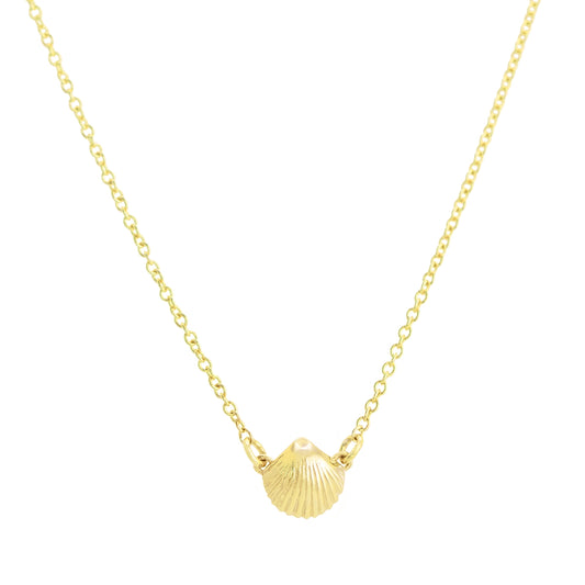 14K Gold Mini Seashell Necklace - Daphna Simon Jewelry