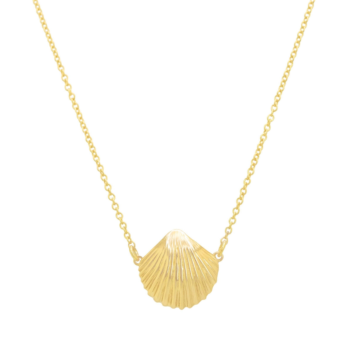 14K Gold Medium Seashell Necklace - Daphna Simon Jewelry