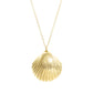 Gold Seashell Necklace - Daphna Simon Jewelry