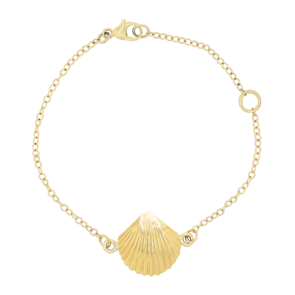 14K Gold Sea Shell Bracelet - Daphna Simon Jewelry