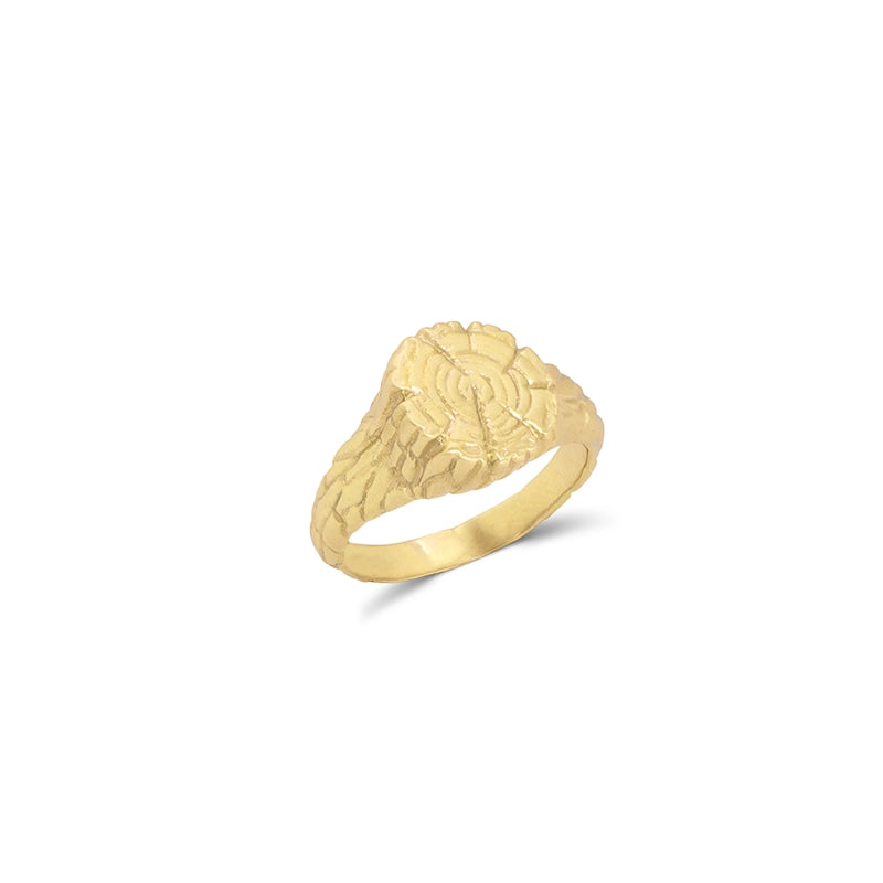 Slanted Tree Log Ring for Women - Daphna Simon Jewelry